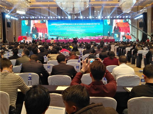 南昌會(huì)議策劃公司如何策劃會(huì)議方案及會(huì)議服務(wù)指南